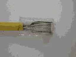  RJ45   